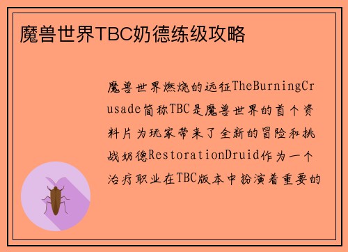 魔兽世界TBC奶德练级攻略